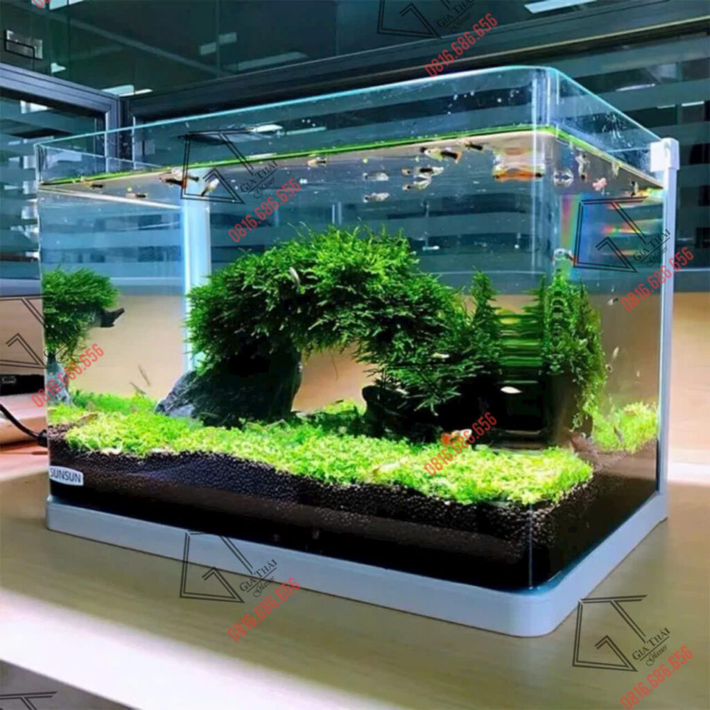 Bể cá kính uốn cong